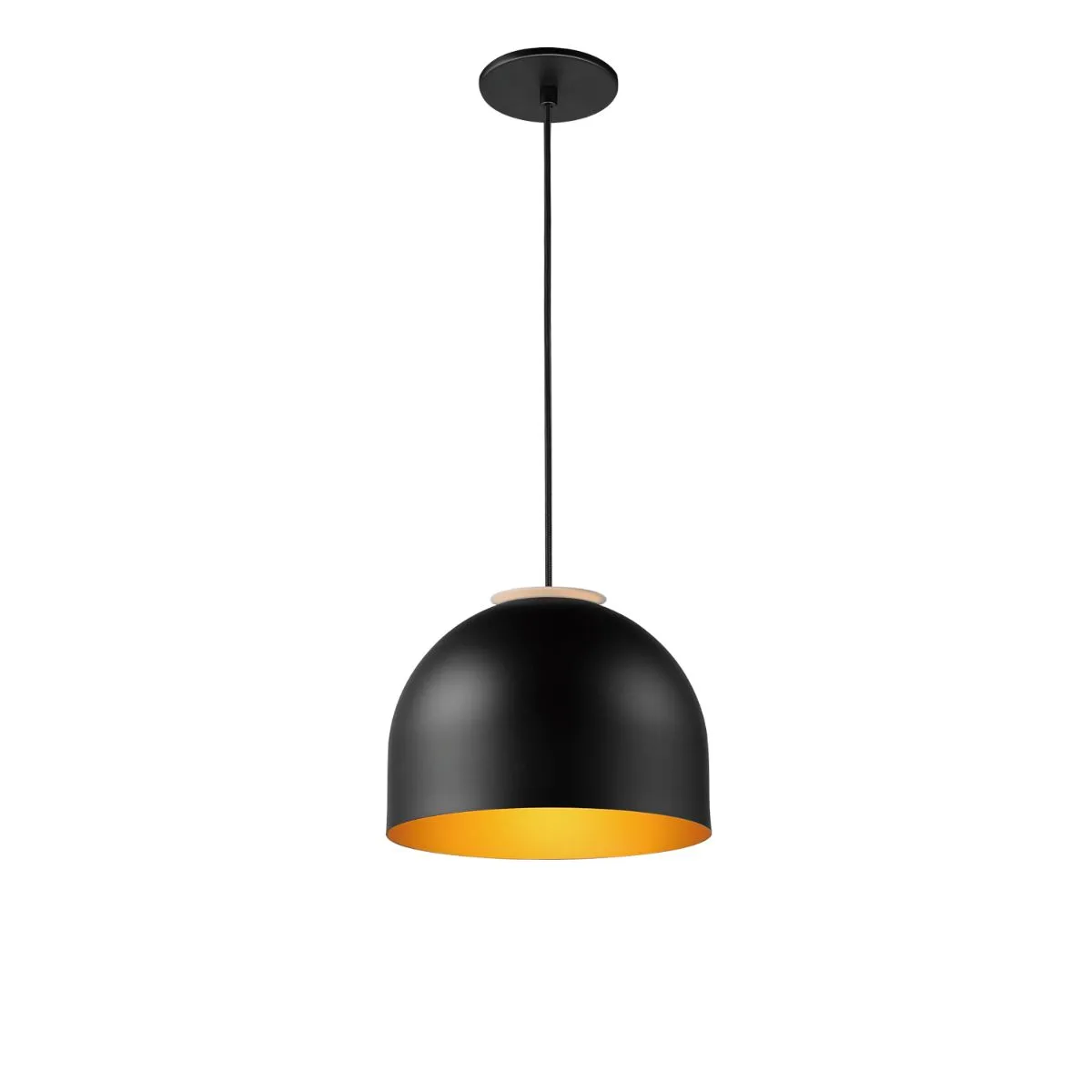 Foster 10 in. LED Pendant Light Black and gold Finish