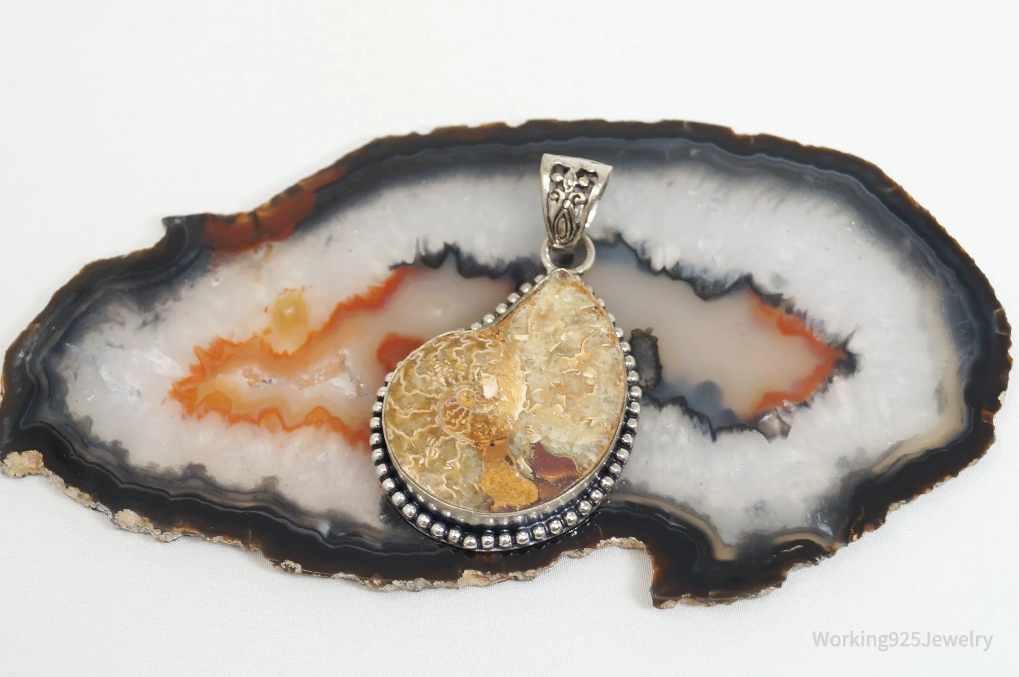 Vintage Large Ammonite Fossil Shell Sterling Silver Necklace Pendant